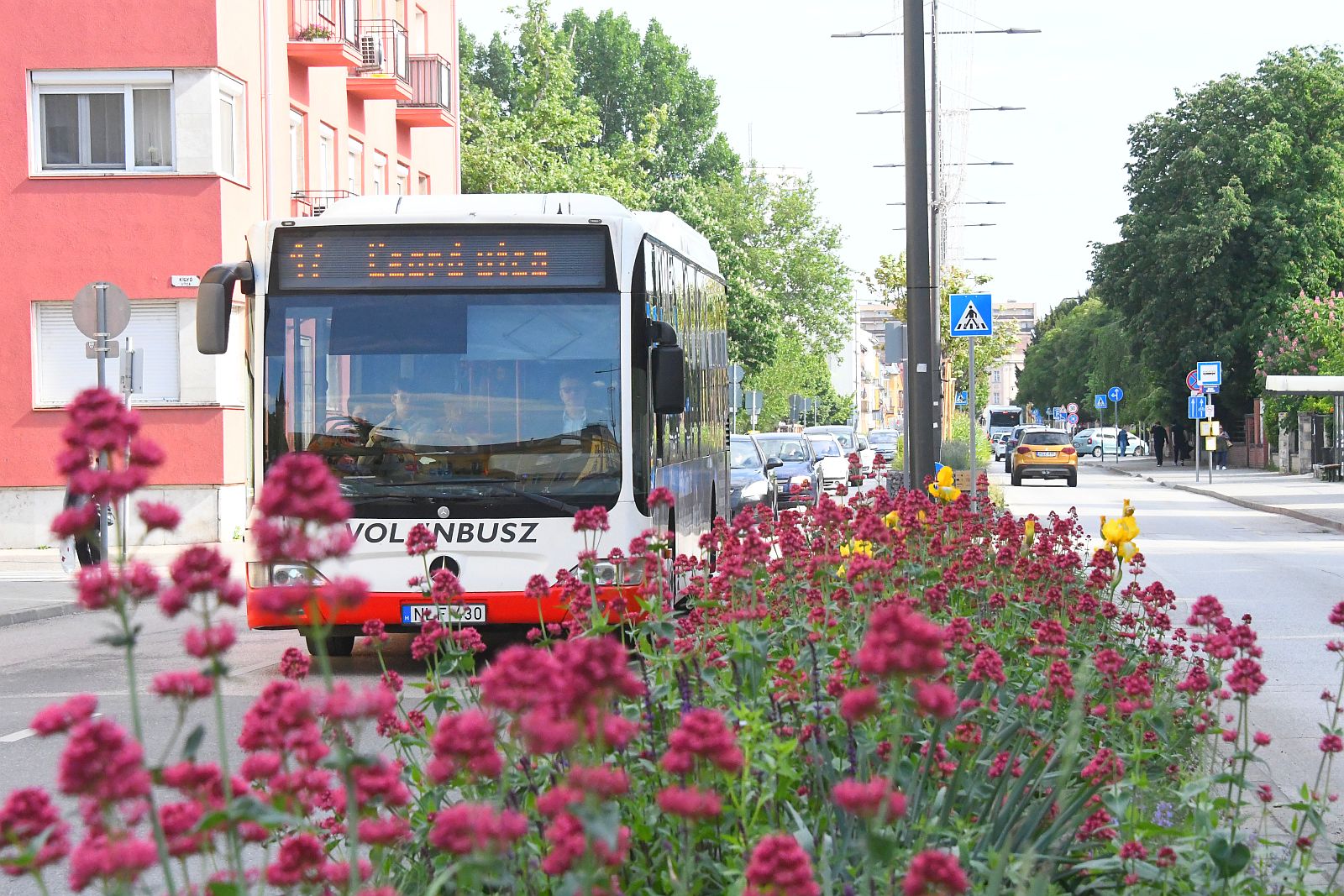 Augusztusban újabb menetrendbővítés léphet életbe a fehérvári buszközlekedésben